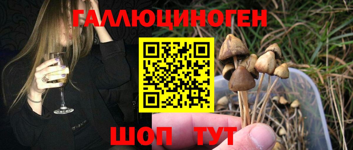 Псилоцибиновые грибы мицелий  Псилоцибиновые грибы мухоморы  Вход с VPN  Азов 